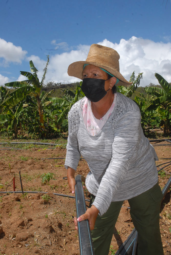 mujer guantanamera 10