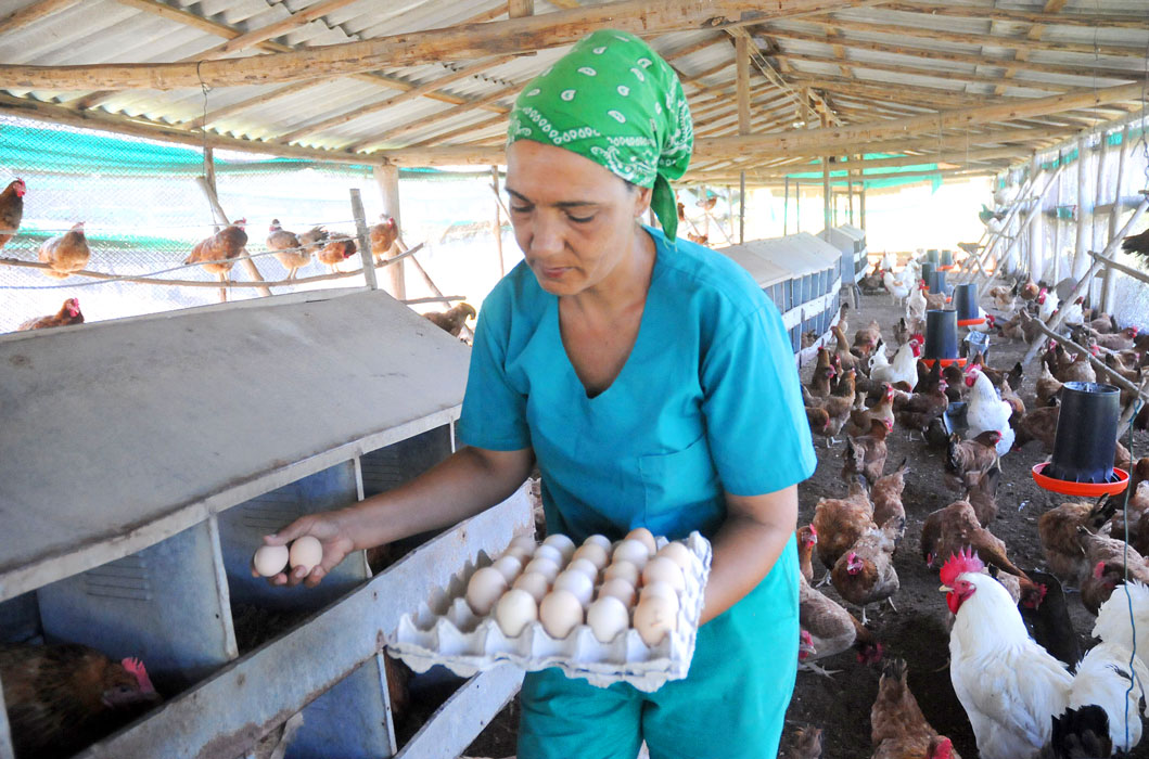 mujer guantanamera 8