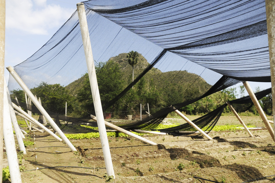 daños Laura Guantánamo 2020 11