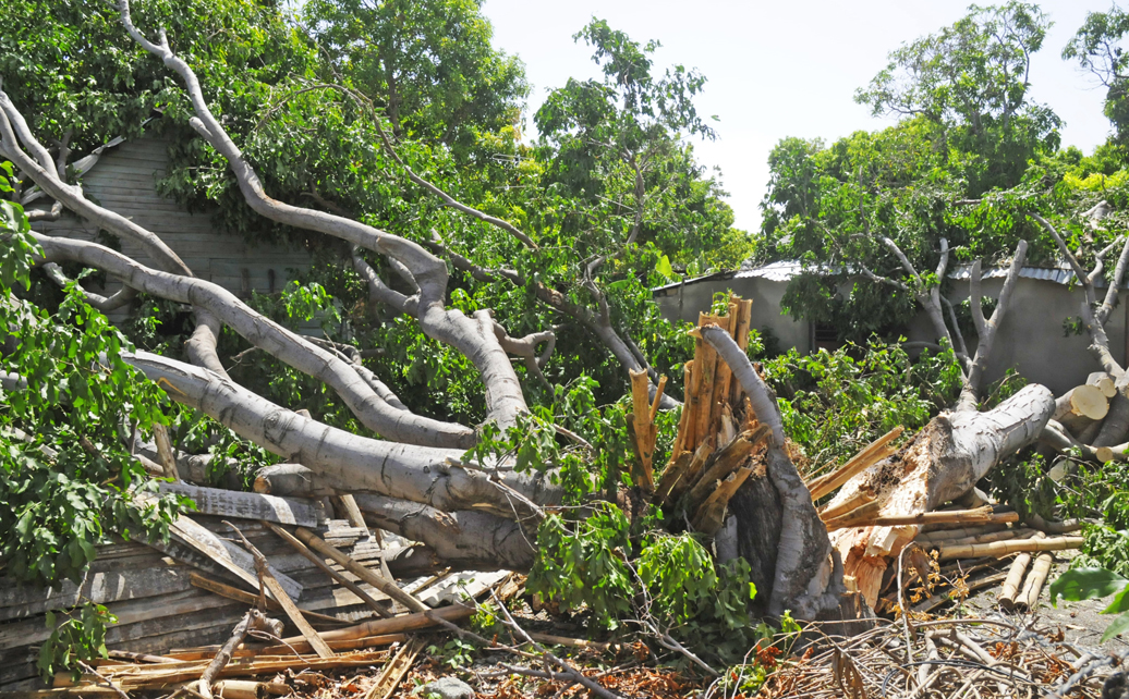 daños Laura Guantánamo 2020 8