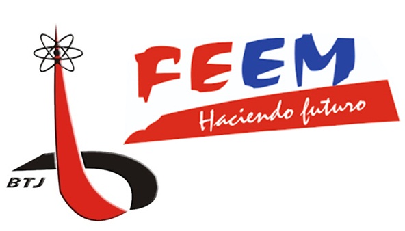 btj feem