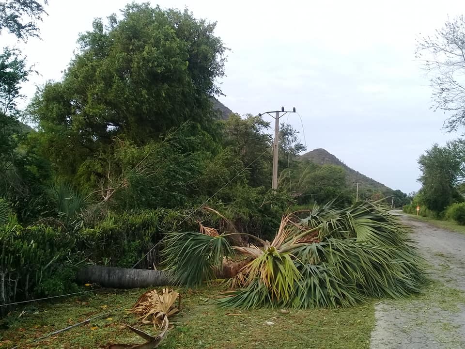 118251703 3149586125163902 4200336566175495848 n