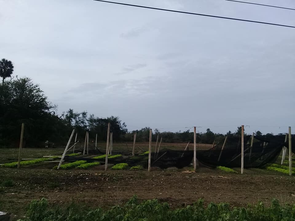 118309765 3149591308496717 612545487219510880 n