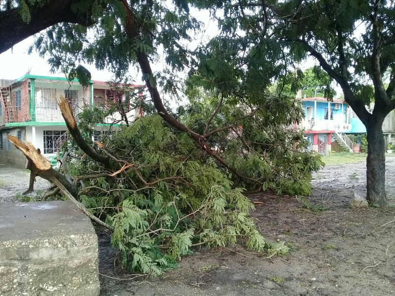 afectaciones de Laura en Guantánamo 16