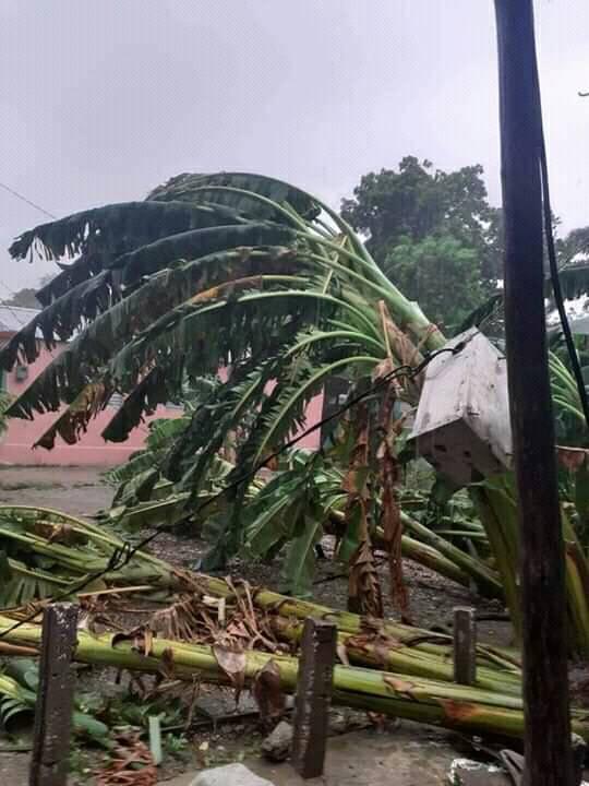 afectaciones de Laura en Guantánamo 6