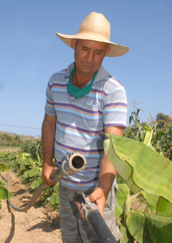 producciones frente a la COVID19 3