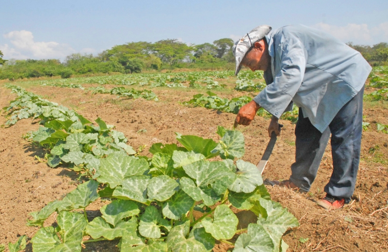 producciones frente a la COVID19 4