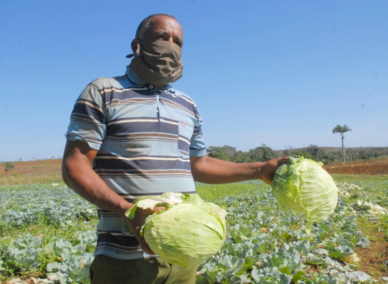 producciones frente a la COVID19 5