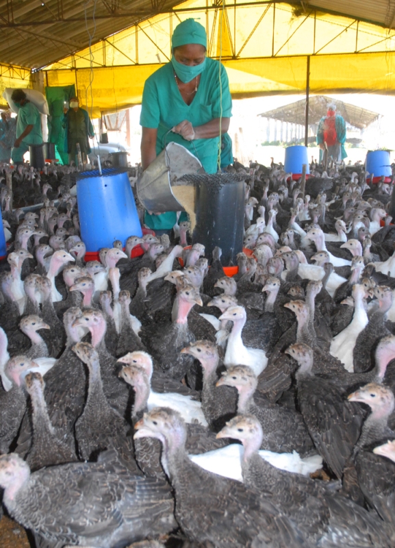 producciones frente a la COVID19 6