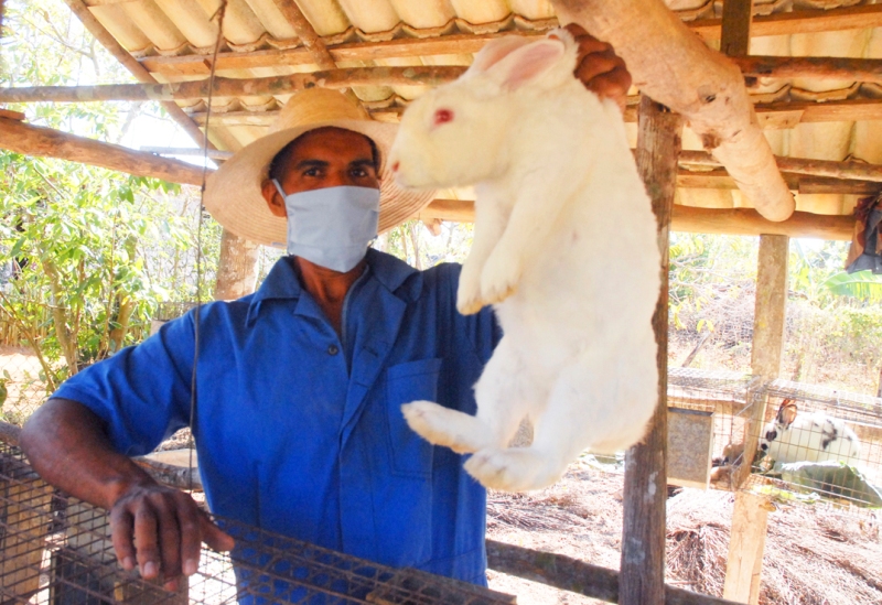 producciones frente a la COVID19 8