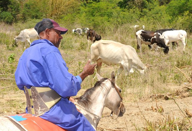 ANAP Guantánamo 60 1