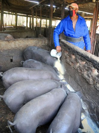 ANAP Guantánamo 60 10