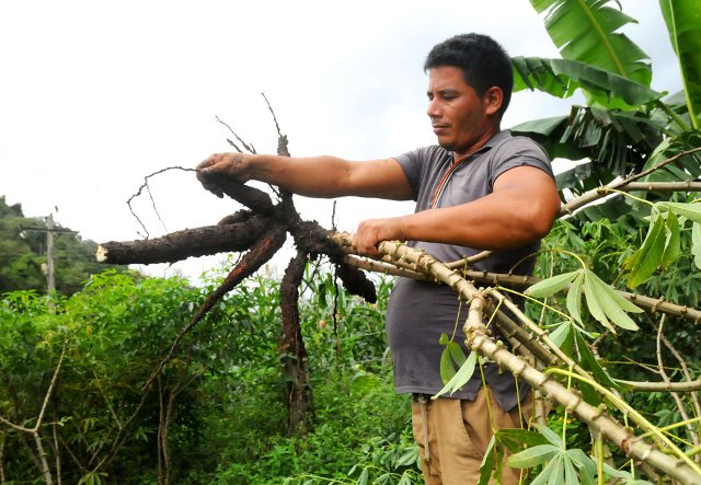 ANAP Guantánamo 60 3