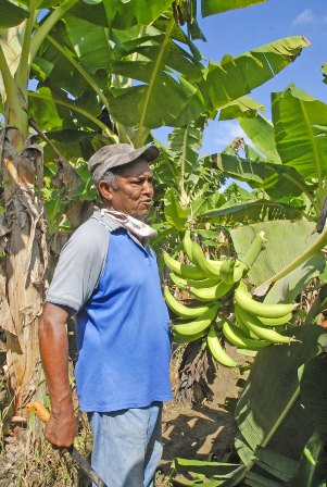 ANAP Guantánamo 60 5