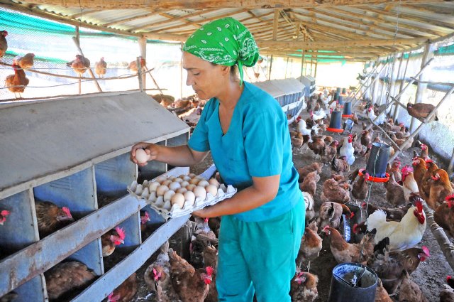 ANAP Guantánamo 60 7