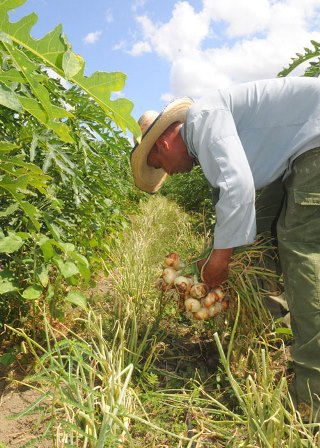 ANAP Guantánamo 60 8