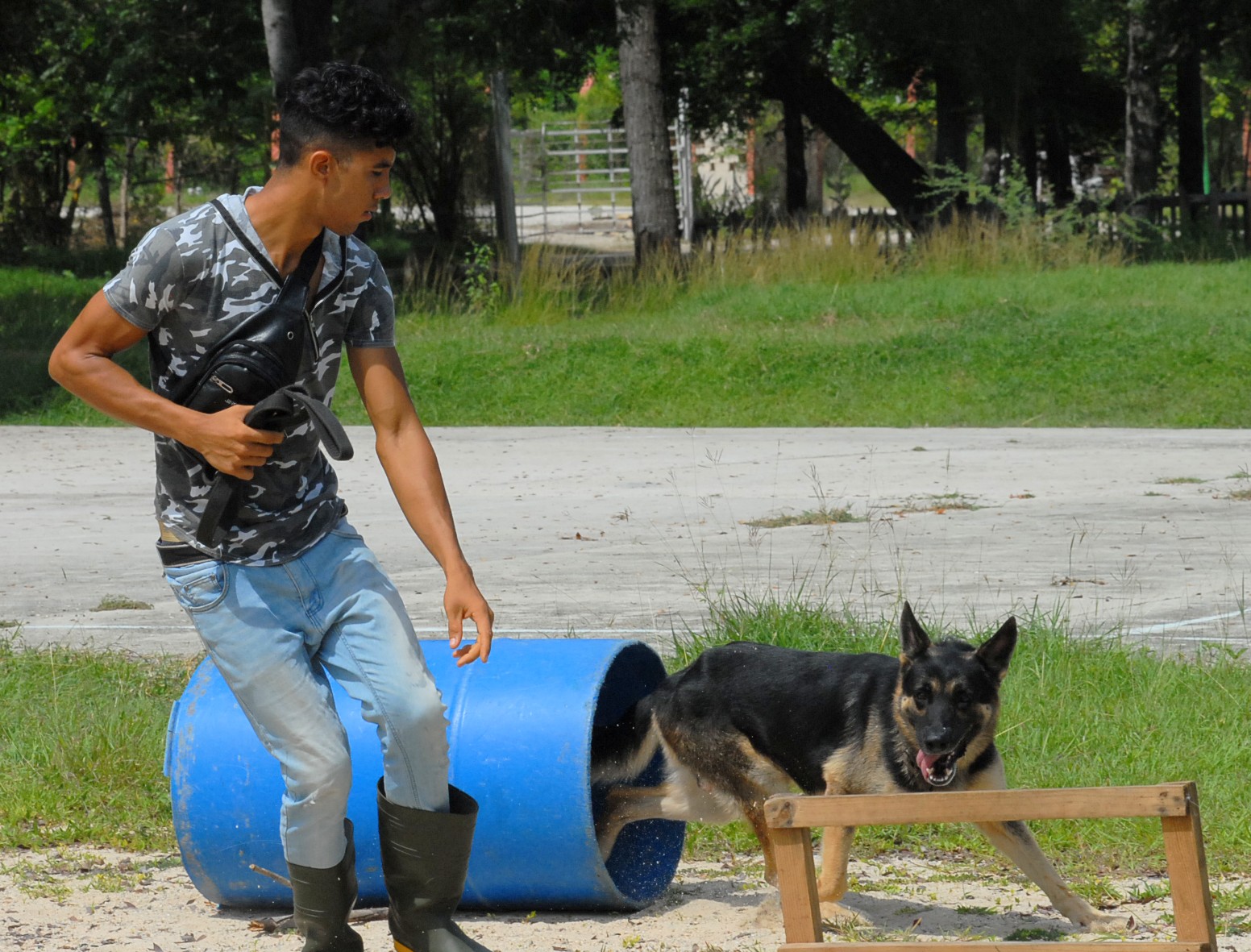 canes Guantánamo 2023 10