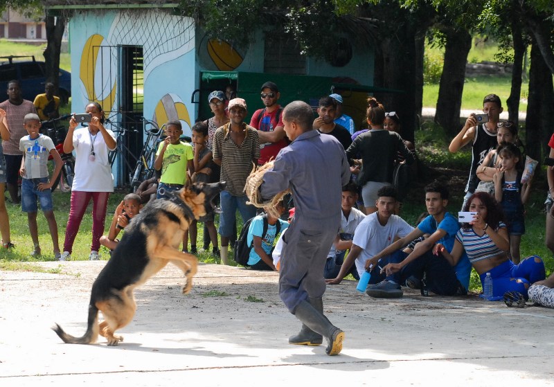 canes Guantánamo 2023 12