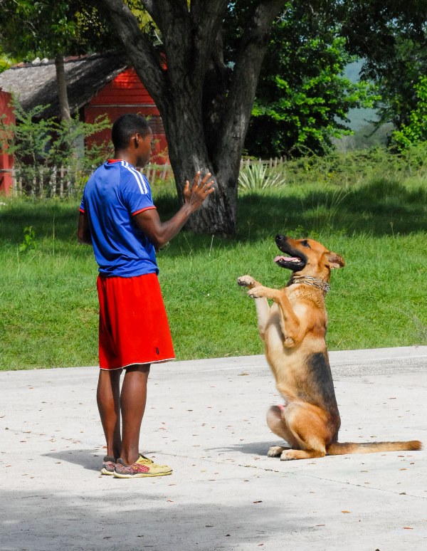 canes Guantánamo 2023 2