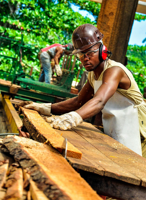 04 trabajador forestal guantánamo