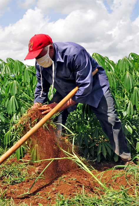 vcr 0003 maestros que producen la tierra