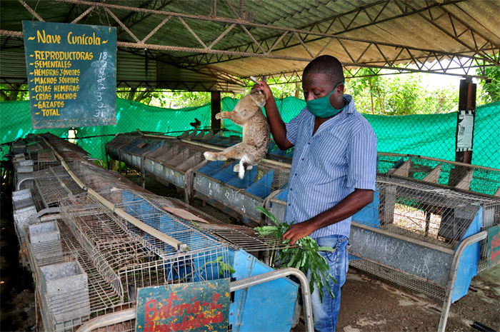vcr 0006 maestros que producen la tierra