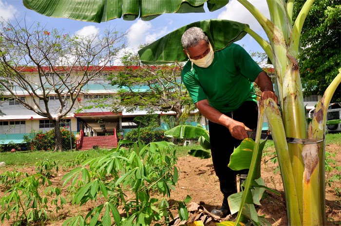 vcr 0008 maestros que producen la tierra
