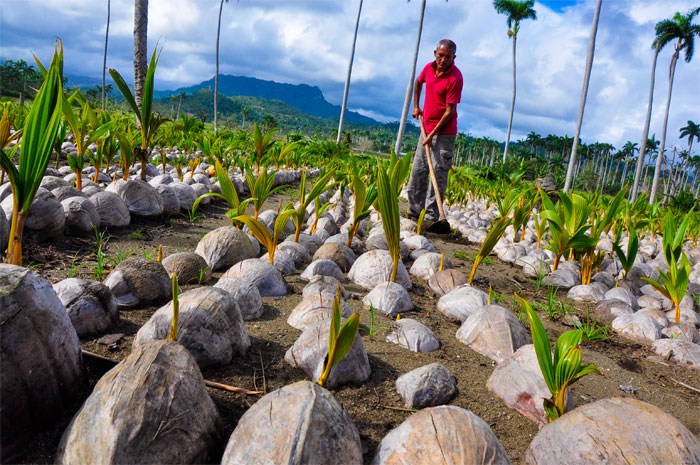 cuidemos el ambiente 1