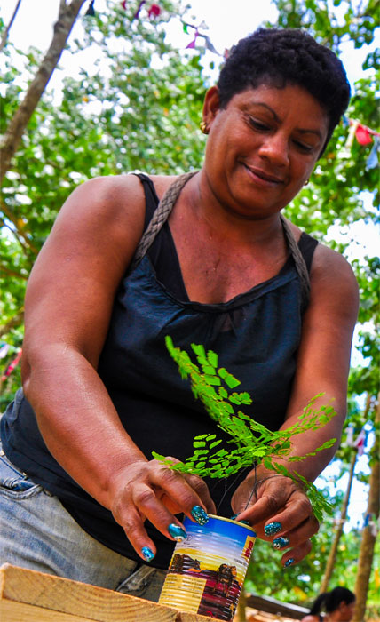 cuidemos el ambiente 6
