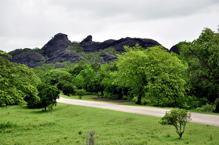 cuidemos el ambiente 9