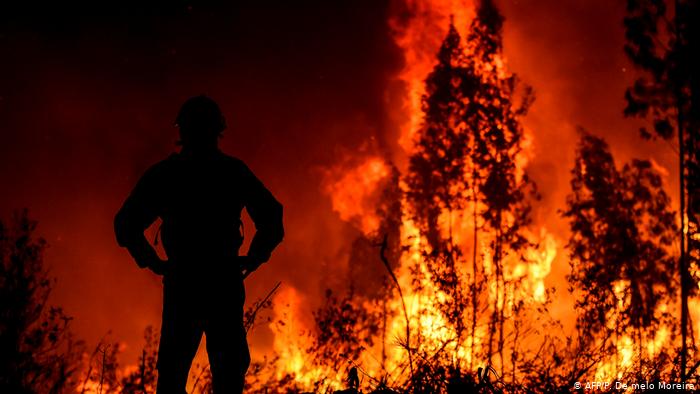 incendio forestal