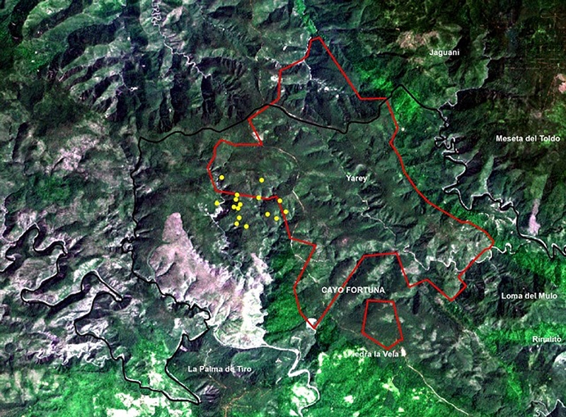 infierno en el bosque 1
