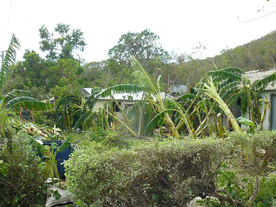 impacto irma cuba foto acn pablo 5
