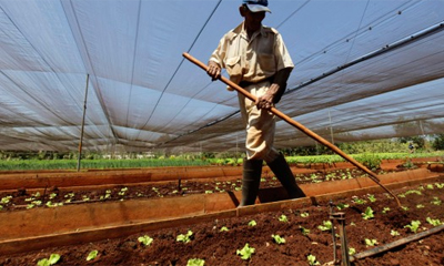 Agricultura
