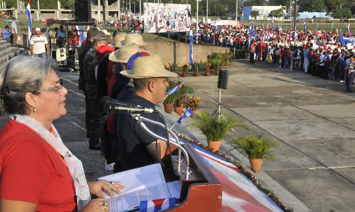 1 DSC3441