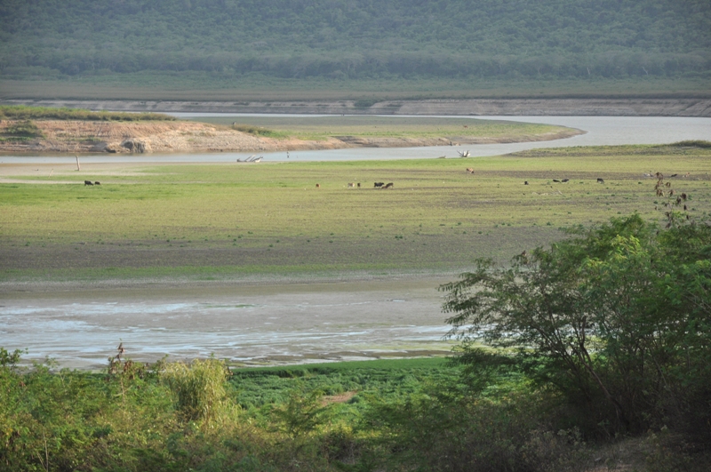 1 presa la Yaya