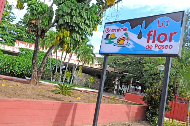 1La Flor de Paseo 1