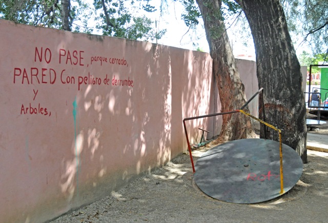 5La Flor de Paseo 5