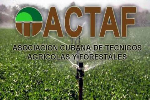 actaf logo