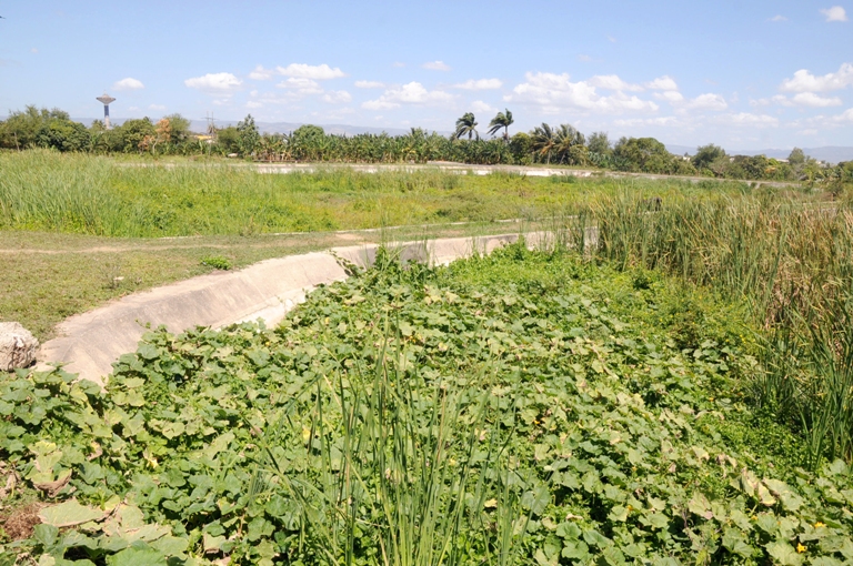 aguas contaminadas rio6