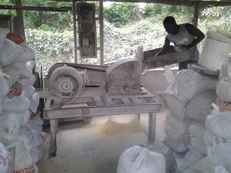 alimento animal produccion local3