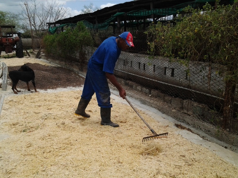 alimento animal produccion local4