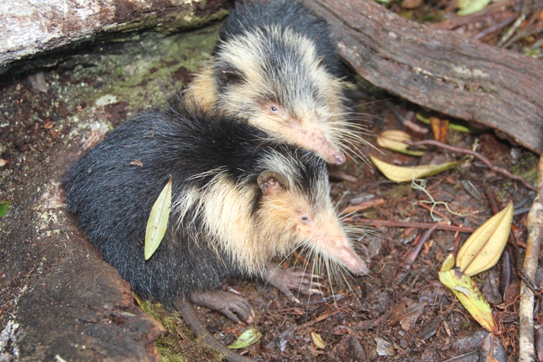 almiqui fotos nuevas2
