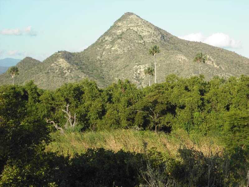 apan de azucar Gtmo