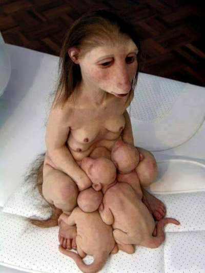 bicho desmienten2