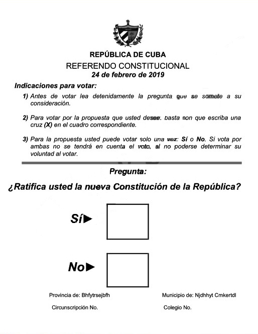 boleta votacion constitucion
