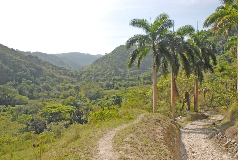 camino el aguacate2