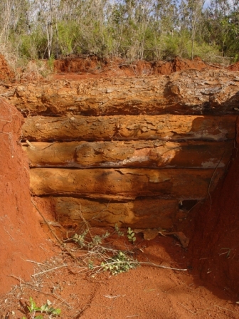 carcava corregida