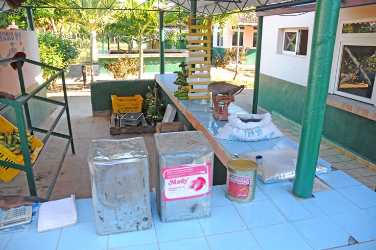 comercializacion productos agricolas
