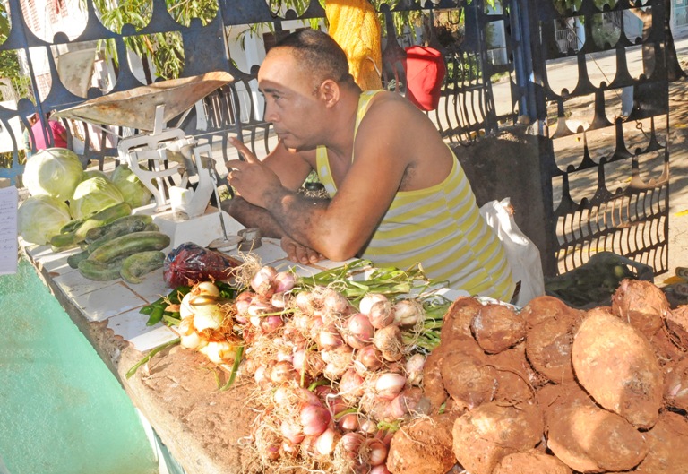 comercializacion productos agricolas2